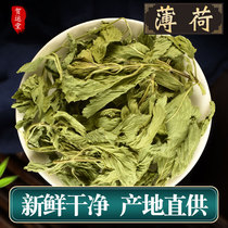 Chinese herbal medicine mint 500g dried herbs thin mint leaves Hefei wild mint soaked in water