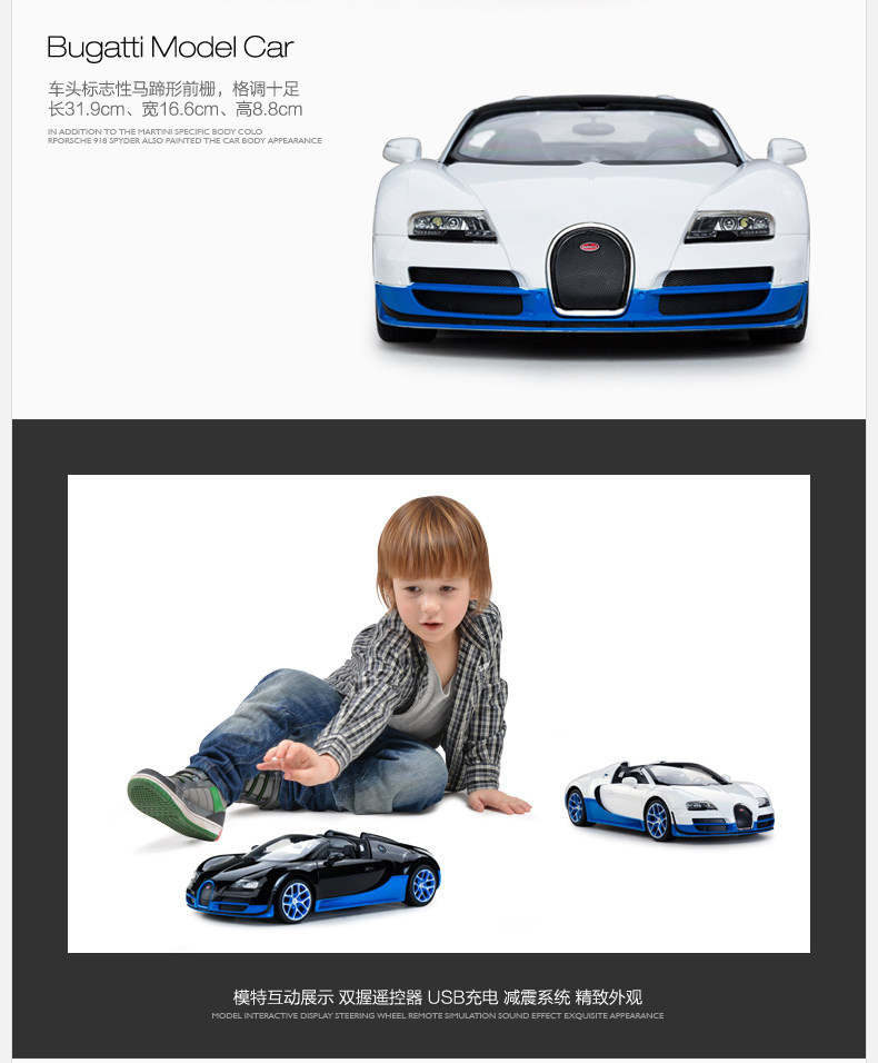 Bugatti заряда_17.jpg