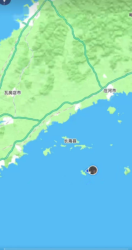 大连底播云辰海参