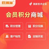 Small Programs Shang City Development Public Number Custom Website Making Shopping Building APP Points Platform 500-158