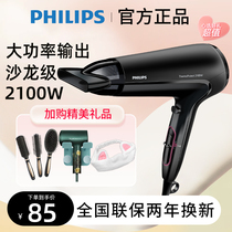 Philips Hair Dryer HP8230 Home Hair Salon 2100W High Power Cold Hot Wind Electric Blow Wind BHC020