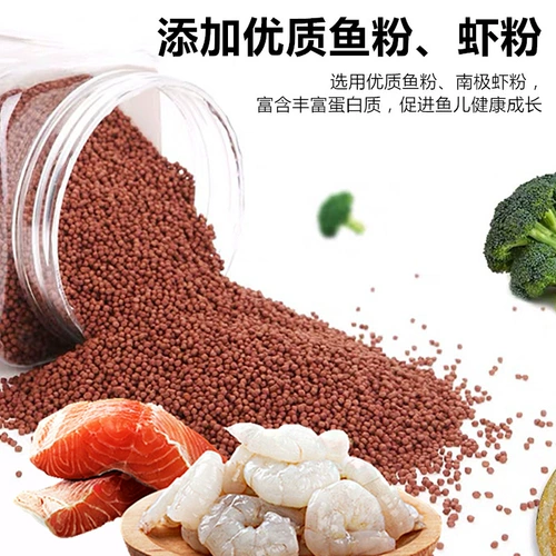 Универсальный аквариум, карта, карп, мелкие частицы, на удачу