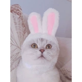 Милый шлем, шапка, аксессуар для волос, кролик, кот, домашний питомец
