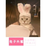 Милый шлем, шапка, аксессуар для волос, кролик, кот, домашний питомец