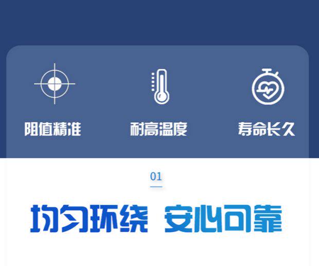 Холодильное оборудование rxlg 大功率铝壳伺服电机放电泄流变频器制动刹车电阻 1000w 1kw