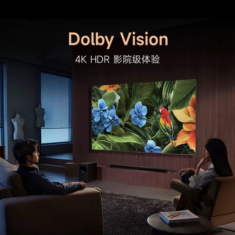 Xiaomi Box 5 Max 4K Resolution Home Wifi Network Artificial Intelligence Voice Set-Top Box