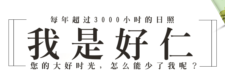 嘉佳仁 内蒙原味新货南瓜子仁 180g*3袋 图5