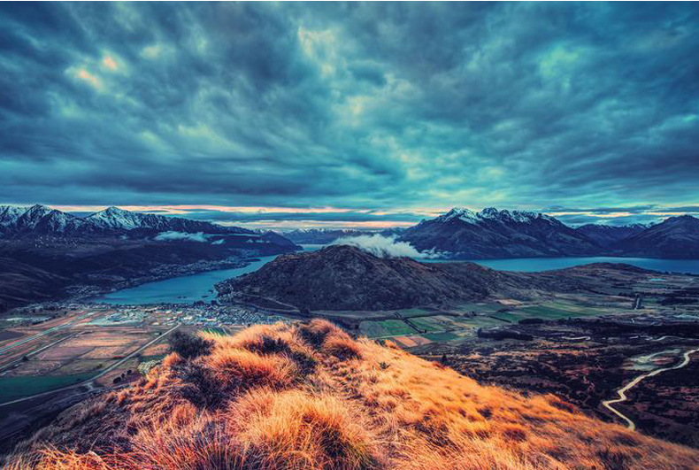 手机CPL偏振镜头过滤水面反光滤镜通用单反相机偏光镜 拍纹身镜头 苹果13华为通用14拍美食玻璃植物降低反光