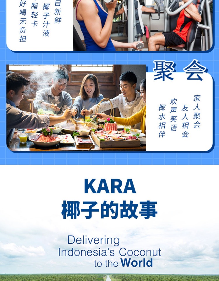 【KaraCoco】印尼进口低卡椰子水