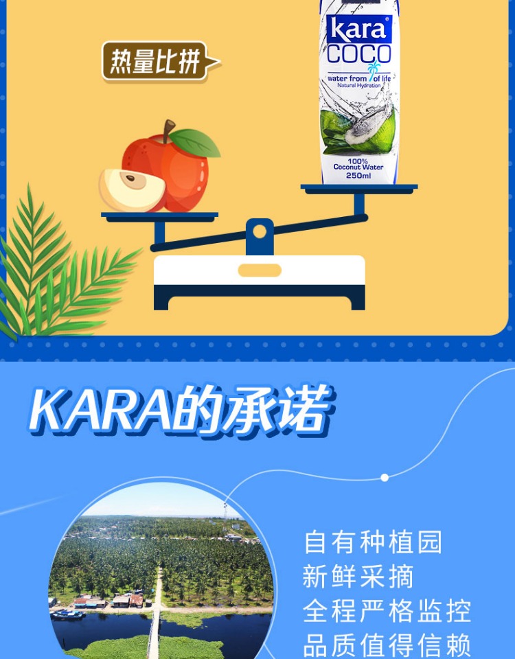 【KaraCoco】进口青椰果汁椰子水250ml*12