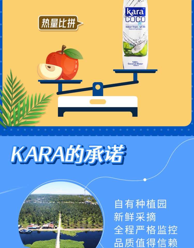 【KaraCoco】印尼进口低卡椰子水