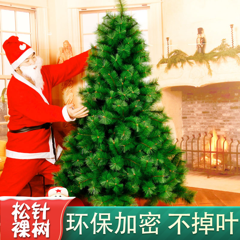 Christmas Tree Home Package 1 5 1 8 2 1 2 4 m Large Luxury Encrypted Pine Needle Tree Luminous Pendulum