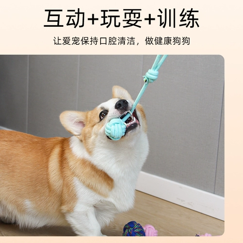 Игрушки для игрушек для собак, игрушки с золотистыми ретривером, маленькие, средние большие, плюшевые щенки, щенки, щенки, нечистые товары для домашних животных.