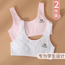 Girls underwear hair growth period Primary school students 13-year-old vests 10 Inner wear 12 Anti-bump girls Pure cotton 11 Smear Stage