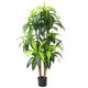 High-End Luxury Artificial Green Plants, Brazilian Wood Indoor Living Room Decoration, Floor-Standing Ornaments, Simulated Fake Green Plants, Potted Landscaping