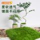 Simulated Moss Turf, Bionic Fake Moss, Simulated Lawn, Eternal Fake Moss, Micro-Landscape Green Plants, Landscaping Fake Grass Silk