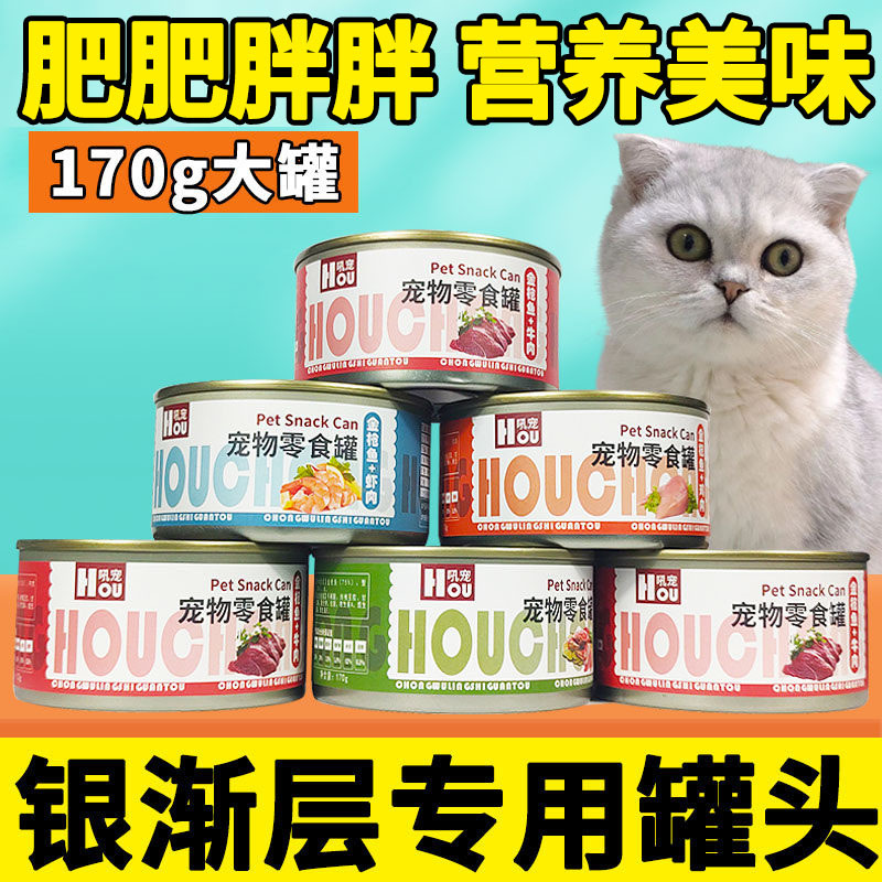 Silver Gradient Special Cat Food Canned Kitten Snacks Food for Kittens Cat Food Nutritional Supplements