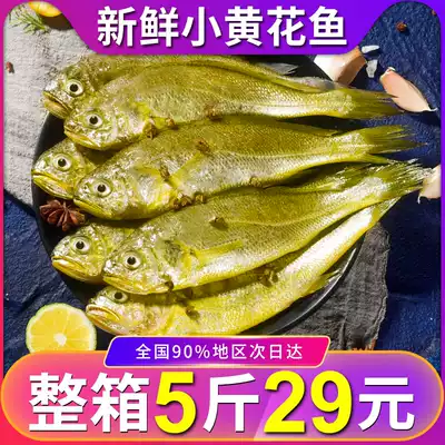 Fresh small yellow flower fish 14-16 kg sea fishing frozen small yellow fish deep-sea fish Seafood aquatic non-large yellow fish