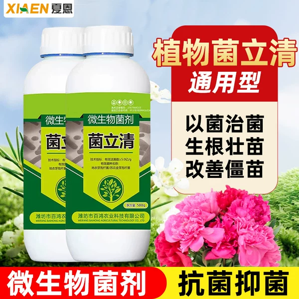 Товары от 夏恩旗舰店