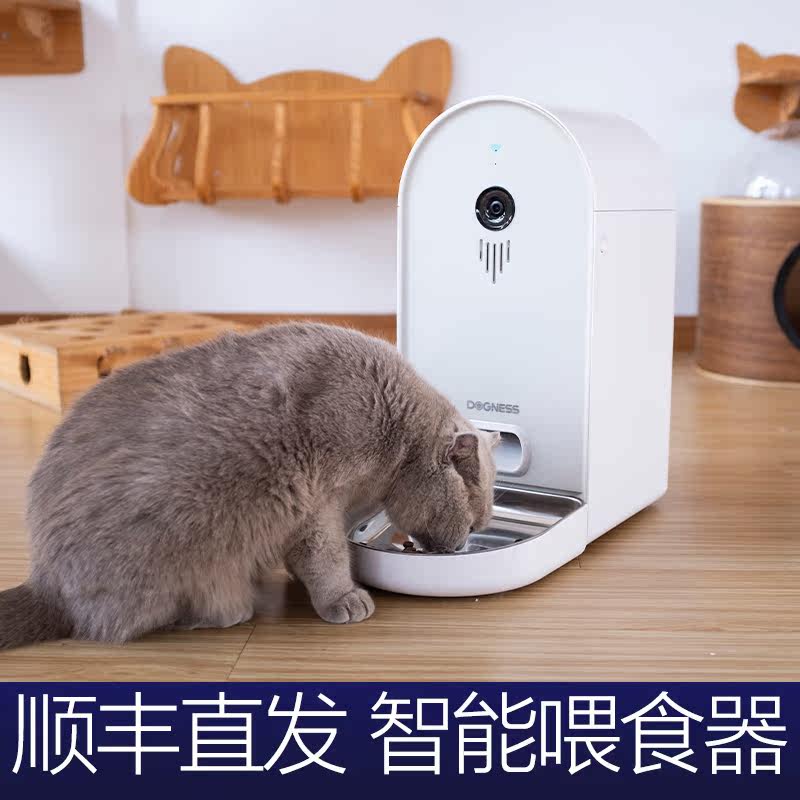 Automatic Feeder Cat Dog Universal Cat Pet Donis Automatic Feeder Intelligent Timing Quantitative