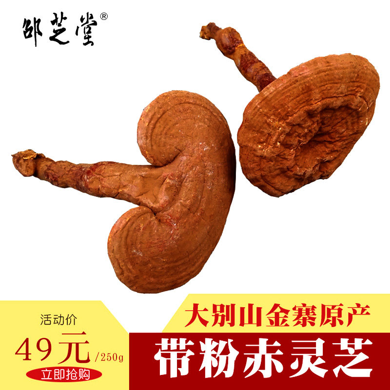 Dabie Mountain Jinzhai imitation wild basswood red ganoderma red ganoderma non-Changbai Mountain Linzhi non-purple ganoderma 250g generation slice