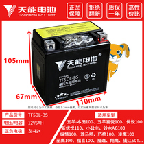 Tien Neng motorcycle battery 12v5AH Yamaha Qiaoge Lingying Wuyang Honda Little Princess 100 Dry Battery