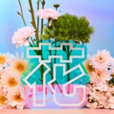 Книга Китая Национального географического музея цветы и книга эскизов Дополнение