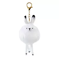 Арктический кролик рекомендуется