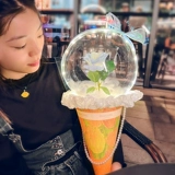 Воздушный шар для мороженого, набор материалов на день Святого Валентина, популярно в интернете, розы, букет