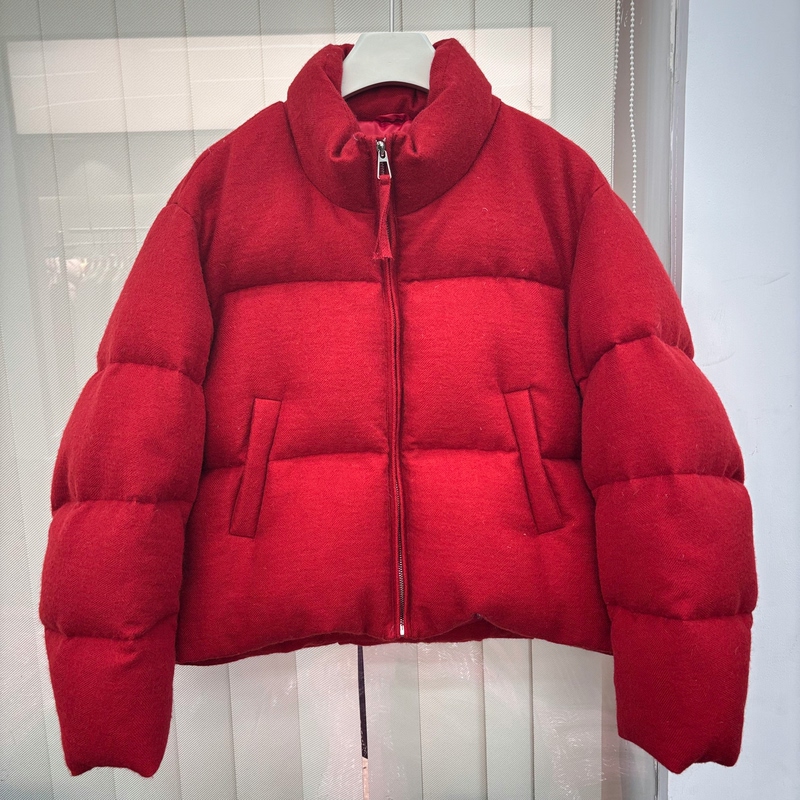 European Station 2025 Winter New Fashion Stand Collar Loose 90% White Goose down Solid Color Wool Coat Short down Jacket for Women