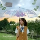 Складной прозрачный зонт Stellar - полностью автоматический
