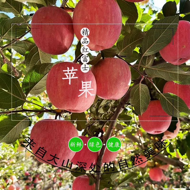 甘肃苹果小铺的LOGO