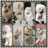 Аксессуар, ожерелье, шарф для принцессы, кружевной колокольчик, нагрудник, милый слюнявчик, домашний питомец, кот