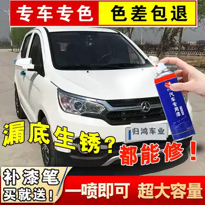 Hongri S1 electric vehicle special spray paint pot desert gold paint pen scratch repair snow area White China red spray paint