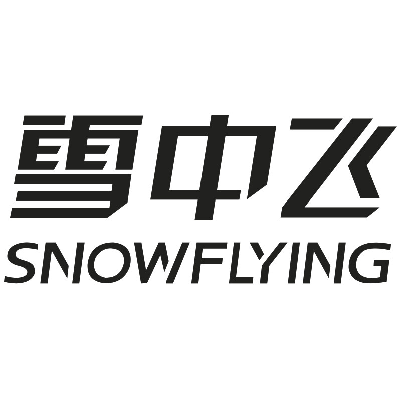 雪中飞正品男装店