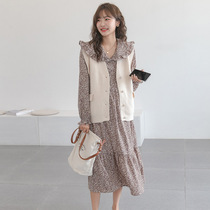 Autumn new maternity clothing net red fashion Western style floral dress loose large size does not show pregnant long-sleeved skirt tide