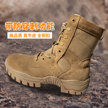 Dahu summer new brown combat boots mens training boots womens combat shoes Nantong Jihua 3666 mountaineering desert boots