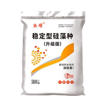 Diatom species aquaculture special chlorella fertilizer water paste fish shrimp and crab pond water quality stabilizer water adjustment fertilizer hydroponic algae