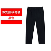 Демисезонные черные штаны