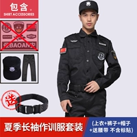 Летний топ + брюки + шляпа (подарочный ремень)