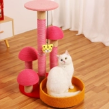 В год лазания тигровой кошки, кошачья кошачья кошачья кошачья полка кошка захватывает столб маленький меч -Платформа прыжков.