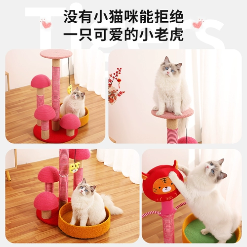 В год лазания тигровой кошки, кошачья кошачья кошачья кошачья полка кошка захватывает столб маленький меч -Платформа прыжков.