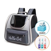 Серый+5 прокладки мочи+12 кошачьих полос Смешанные ароматы [обновления Pokes Pokes+Snack Pocket]