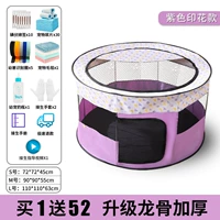 Обновите набор Dragon Bone Purple-Forue For-Conte (фавориты и купить пакет подарочных пакетов 129 Yuan)