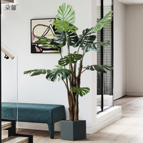 Nordic ins simulation green planting turtle back bamboo potted living room indoor large floor plant bonsai ornaments decoration