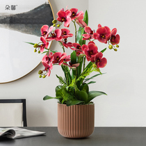 Duoxin light luxury style restaurant simulation flower Phalaenopsis potted finished indoor living room desktop decoration flower decoration