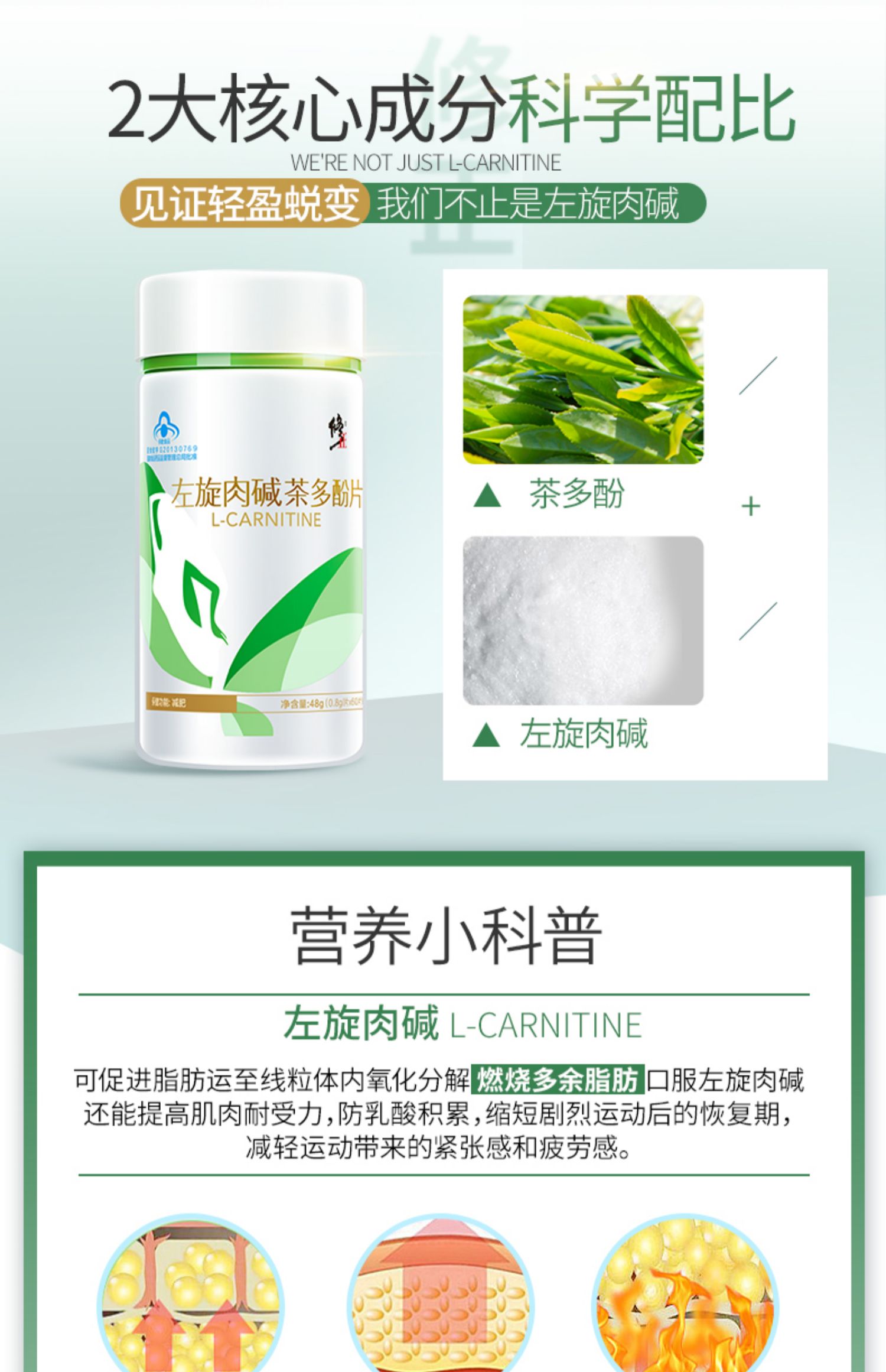 【修正】左旋肉碱茶多酚片60粒