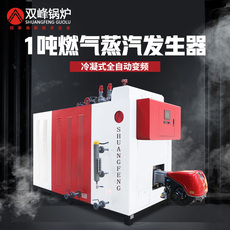 Бойлер Гений годовой бимодальный сертификат инспекции