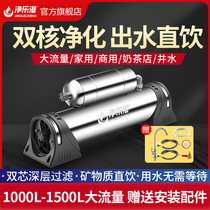 Net Lotte Water Purifier Home Direct Drinking Machine Commercial Milk Tea Shop Ice Maker Restaurant Kitchen Tap Water Filter