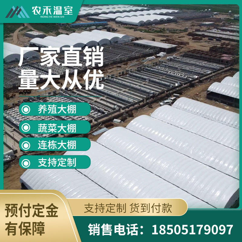 Greenhouse greenhouse skeleton steel pipe vegetable joint and agricultural full set of accessories elliptical tube hot galvanized pig